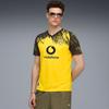 Puma Bvb Home Jersey Replica 780088 01