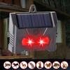 Solarbetriebener Ultraschall-Tiervertreiber Solarer Nacht-Tiervertreiber mit LED-Blinklicht Hirsch Stinktier Waschbär Abwehrmittel