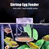 Acrylic Brine Shrimp Feeder Fixed-Point Transparent Fish Tank Feeding Cup with Suction Cup Durable Floating Ring