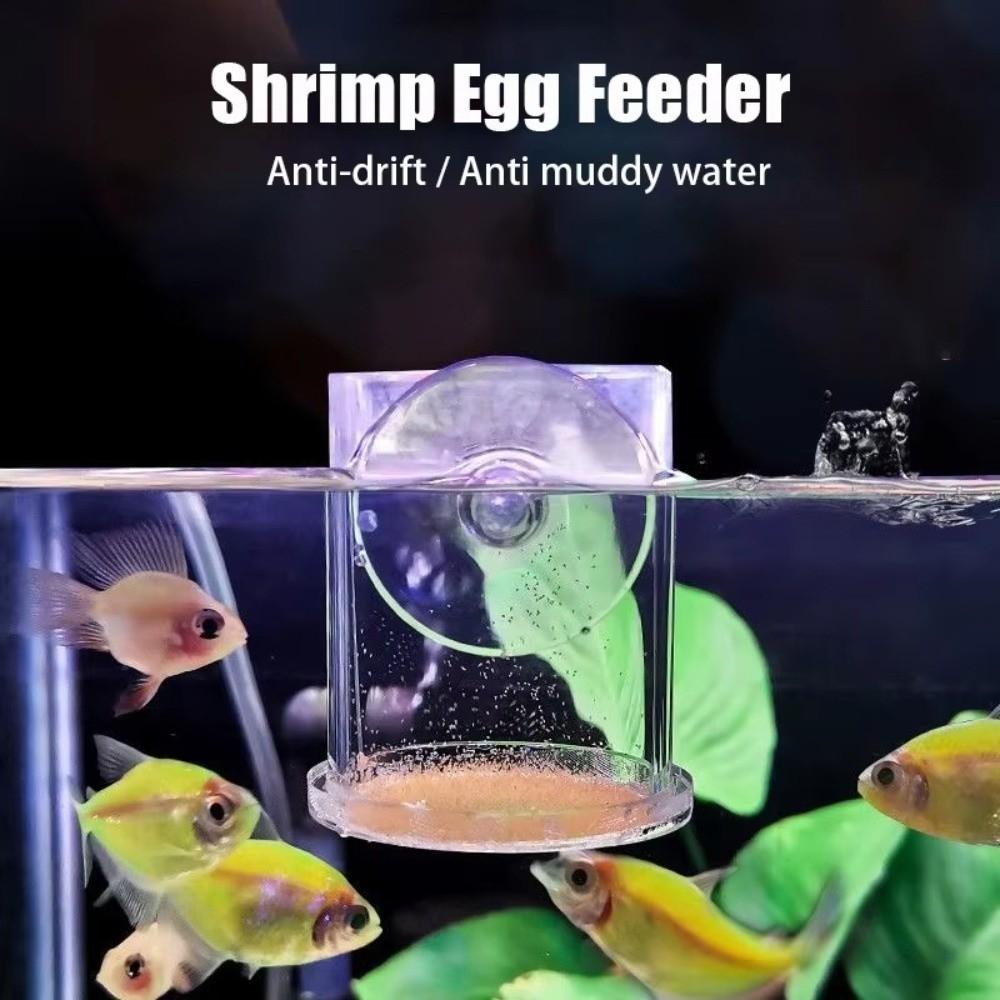 Acrylic Brine Shrimp Feeder Fixed-Point Transparent Fish Tank Feeding Cup with Suction Cup Durable Floating Ring