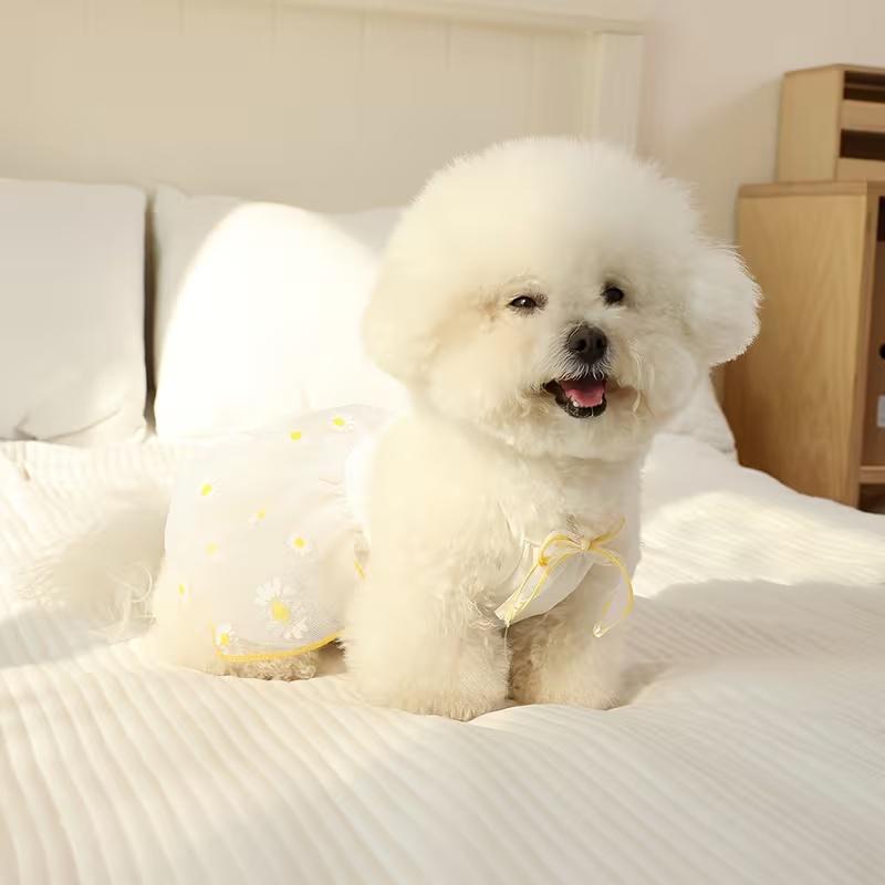 Summer Thin Puppy Princess Skirt Dog Clothes Cute Pet Dog Dress for Small Dogs Chihuahua York Clothing Pet Supplies