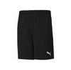 Puma Shorts 657336-03