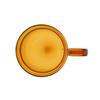 Amber Thermal Glasses Double Wall FARG DUKA