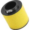 Road Passion 17254-HM8-000 Air Filters Replacement for Honda TRX250EX Sportrax 250 EX 2001-2008/ TRX250X Sportrax 250 2009-2014 2016-2017/ TRX250