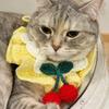 Cute Hand-knitted Knitted Cat Collar Cherry Crochet Pet Bib Pet Scarf Pet Supplies