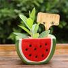6*10cm 50pcs Bamboo Plant Labels Vegetable Garden Markers T-Type Plant Tags for Plants