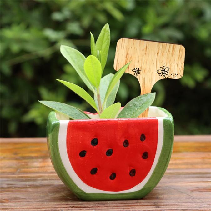 6*10cm 50pcs Bamboo Plant Labels Vegetable Garden Markers T-Type Plant Tags for Plants