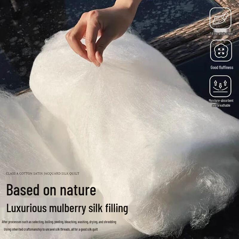 Yuanzhiwei Jacquard Cotton Sateen Mulberry Silk Quilt