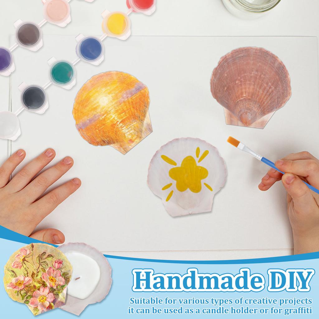 30Pcs Scallop Shell Set 2.76 to 3.35 Inch Decorative Processed Purple Red Sea Shell with Paint and Paintbrush for DIY Painting