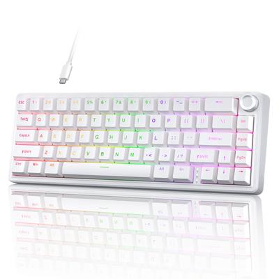 TMKB T68E Wired Gaming Mechanical Keyboard with RGB Gasket Smooth Typing Factory Blueberry White 60% Backlight, Hot-Swap, Mount, Feel, Lubricated,