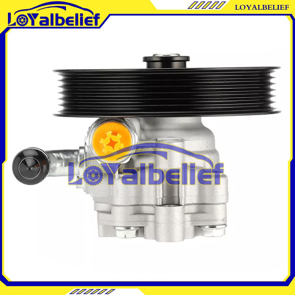 High quality Power Steering Pump For Holden Commodore VZ VE V6 V8 L98 2005-13 92174214 92260526 92267876