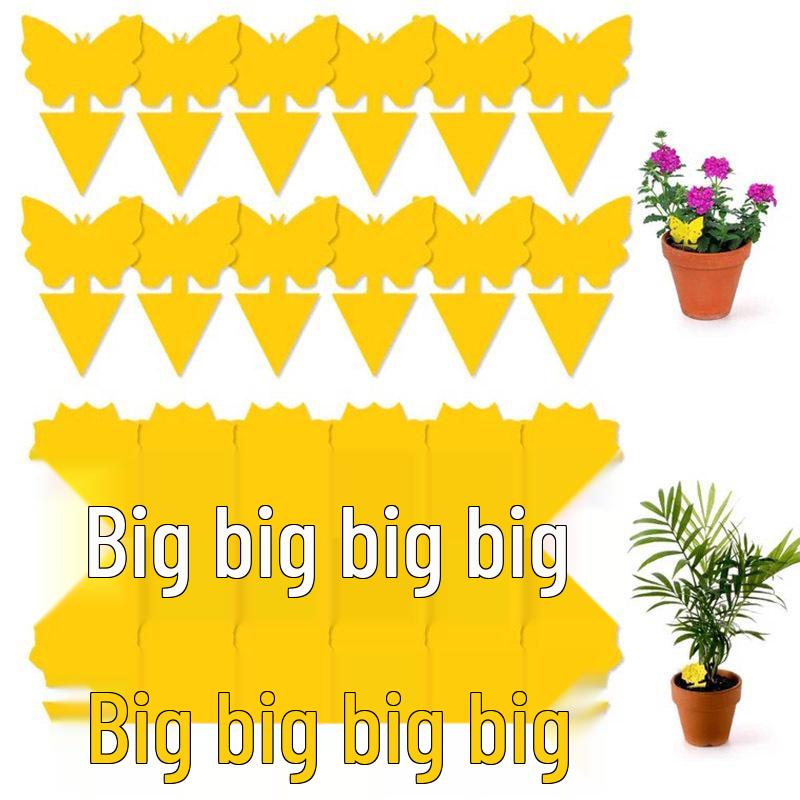 Sticky Trap Double-Sided Yellow & Blue Insect Lure for Greenhouses - Essential for Fruit Fly, Thrips, and Household Pest Control.