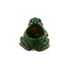 Thickened Frog Flower Pot Resin Plant Planter Gardening Supplies Frog Succulent Plant Pots  Office