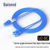 Baisenode Telecom Grade Indoor Armored Fiber Optic Patch Cable