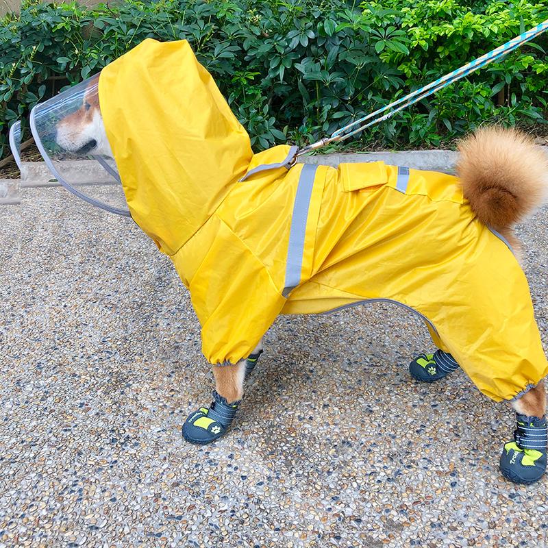 shiba raincoat