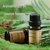 Luxury Aroma Diffuser Refill for Hotel Beauty Salon