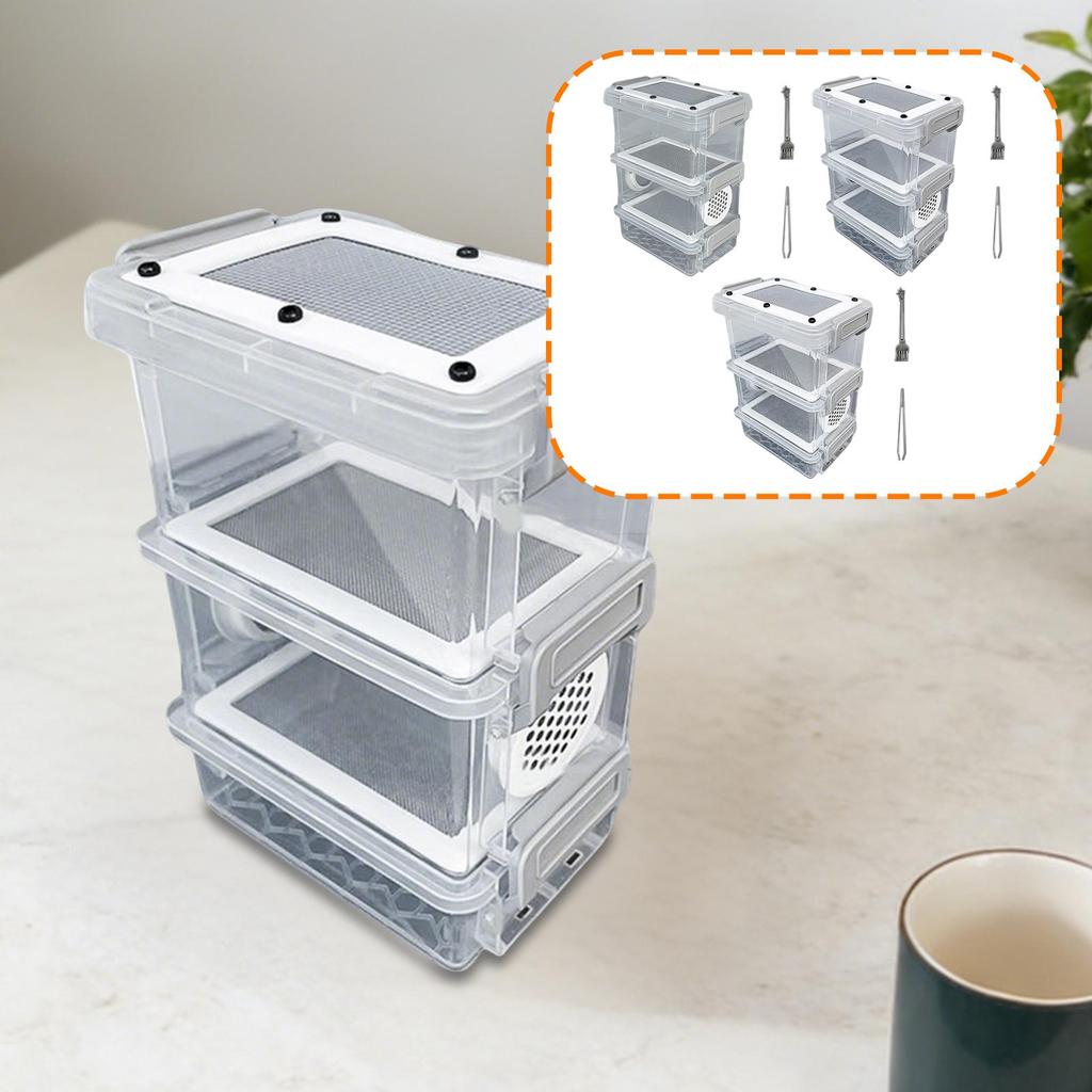 Scatola per Cibo Mini Grilli Plastica Acciaio Inossidabile Cassa di Allevamento Habitat Animale per Larve della Farina Scarafaggi e