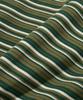 Physical Department Vintage Striped Long Sleeve_Green