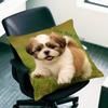 Bonita Funda de Almohada de Shih Tzu Fundas de Almohada de Felpa Decoración del Hogar Funda de Almohada para Sofá Cama Silla Sala de Estar