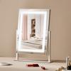 Lighted Makeup Mirror 3 Color Vanity with 5X Magnification 16.1x11.8 in