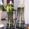 Nordic Wind-Inspired Glass Vase for Fresh Lilies: Creative Ornament for Living Room