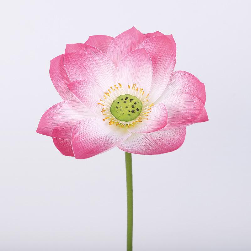 Explosive simulation 3D lotus plant lotus leaf false lotus pod ornament pool photography prop