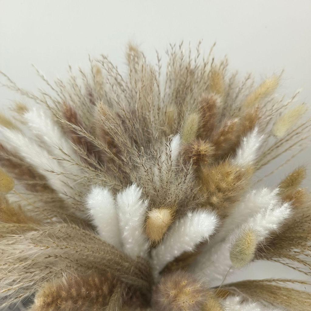 Whisk Rabbit Tail Grass Dried Flower Bouquet - Natural Pampas Grass & Small Reed