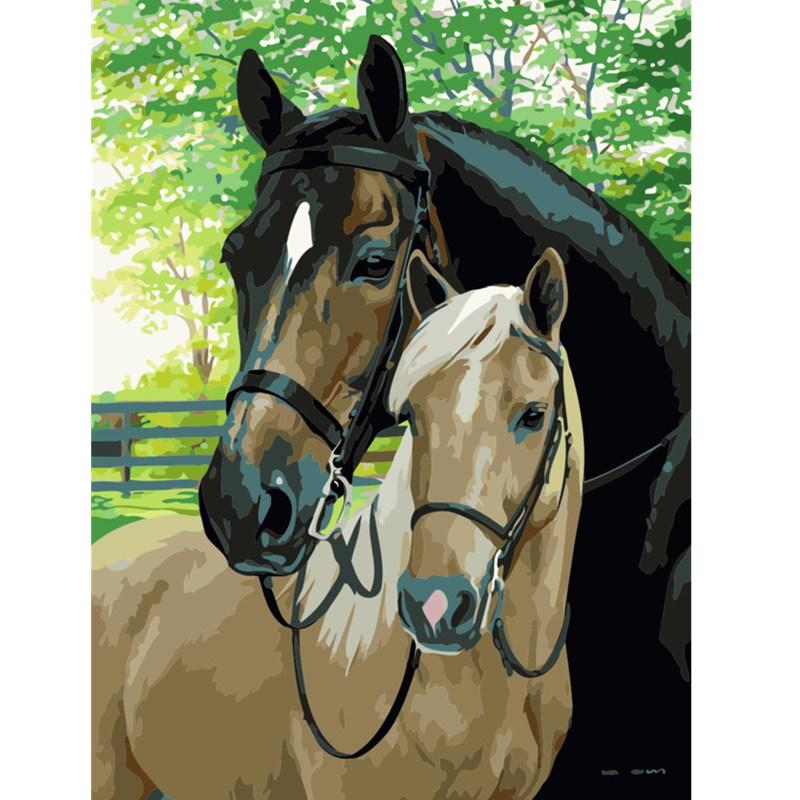 DIY Oil Painting By Numbers Kit Acrylic Paint Handpainted Home Art Decor Creative Gift