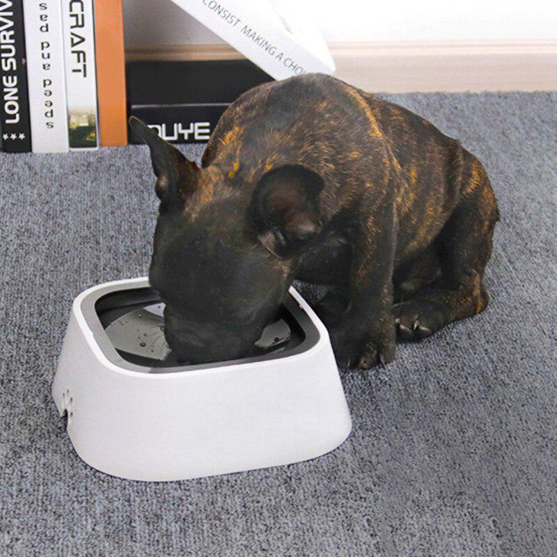 large dog drinking bowl