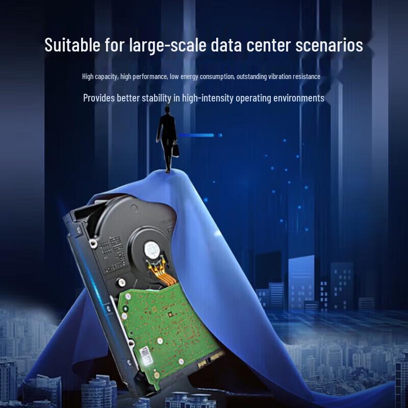 Hikvision Western Digital 4TB Enterprise SATA HDD