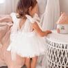 Newborn Baby Girl Sleeveless Mesh Princess Dress Cotton Romper Summer Photo Shoot Outfit 100 Days Celebration Infant Clothing