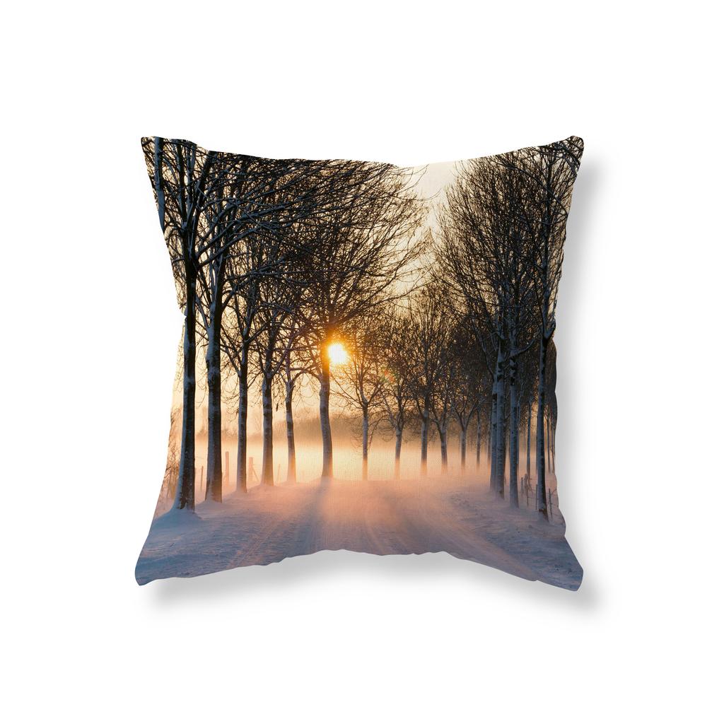 Nature Scenery Throw Pillow Covers Sofa Car Decorative Pillow Covers Chair Cushion Covers Room Aesthetics Home Decor 45x45cm