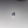 Super Shiny Star Zirconium Titanium Stud Earrings - Five-Pointed Star Ear Jewelry for Women