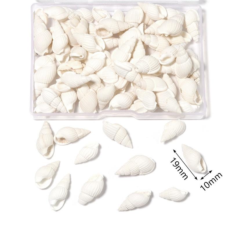 1 Box Sea Shells Spiral Shell Tiny Ocean Spiral Seashells Crafts Aquarium Decor Landscaping Accessories