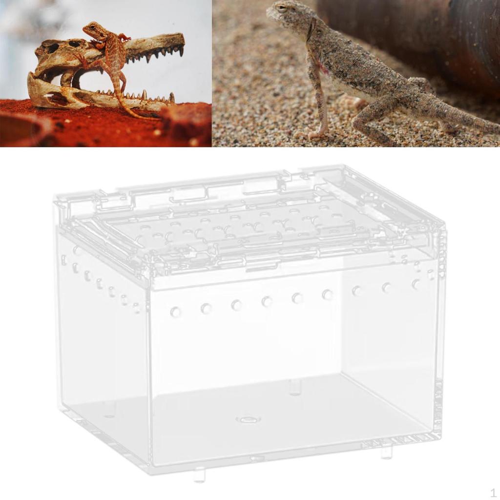 Přenosný box pro plazy pro chameleony a hady