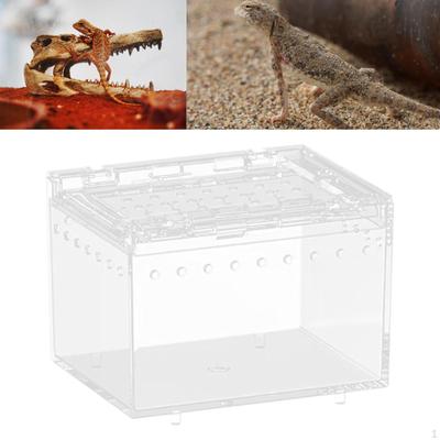 Portable Reptile Habitat Box for Chameleons And Snakes