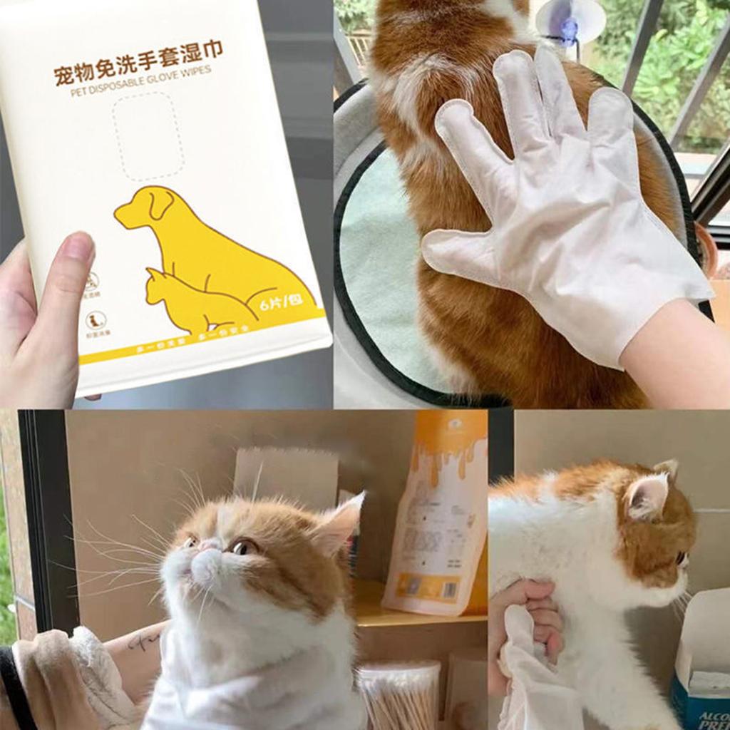 Guantes Desechables para Mascotas, Toallitas Húmedas, Para Limpieza de Gatos, Limpieza en Seco de Perros, Baño, Desodorización, Pañuelos para Gatos, Productos Desechables 1ML