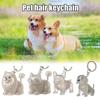 Transparent Dog Hair Storage Box Hair Grooming Puppy Pendants Pet Hair Keychain  Jewelry Gift