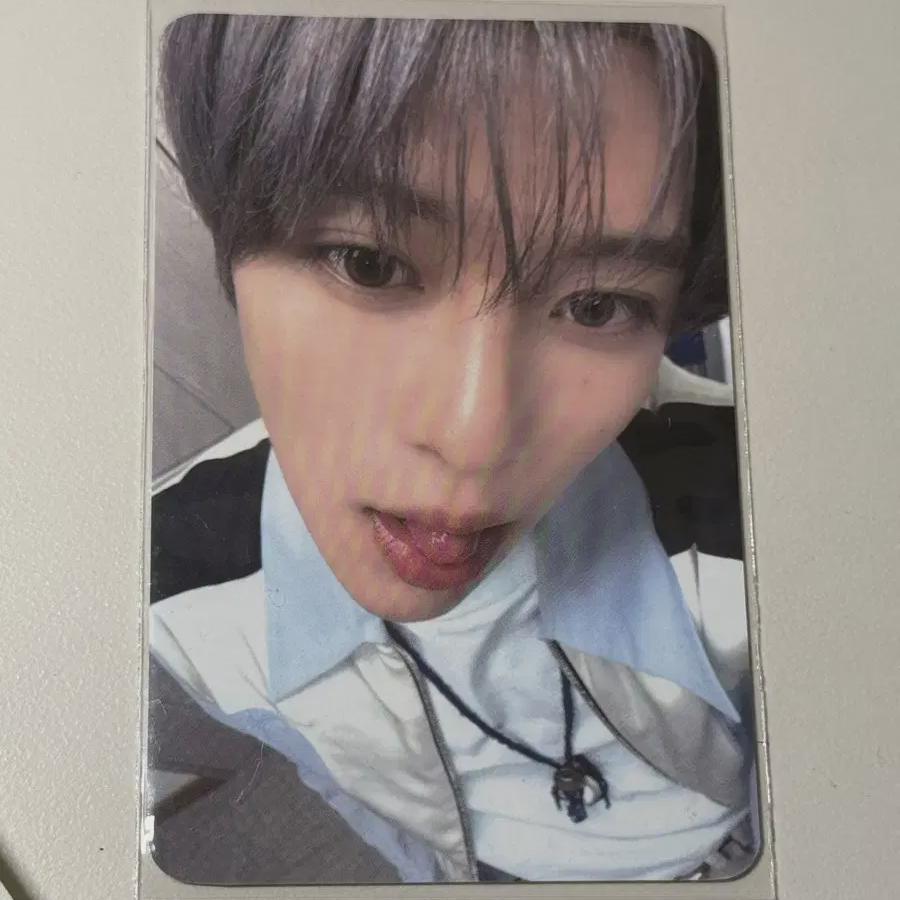 

Nct Wish Catepho Sion