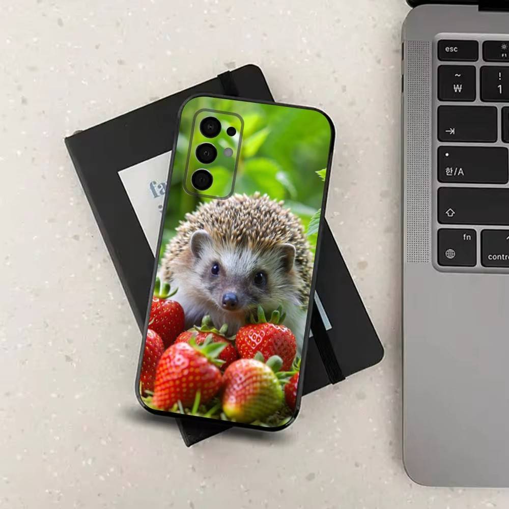 Hedgehog Cute Animal For Samsung Galaxy A53,31,52,72,41,Note,J7,8,9,5G,22,73,32,71, Soft Black Silicone Case