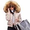 Women's Plus Size Hooded Cotton-Padded Jacket - European & American Style, Short, Warm, Suitable for Autumn & Winter