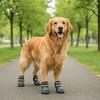 4 pcs/set Breathable Pet Shoe Cover Soft Sole Dog Walking Boots Dog Mesh Shoes  Running Activities