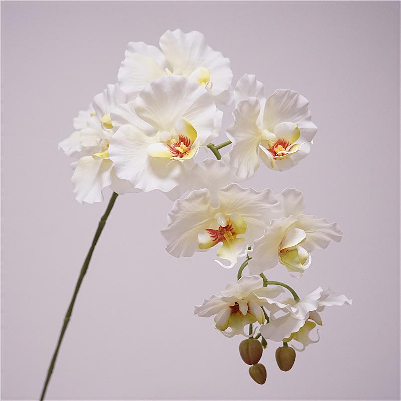 

Korean Style Phalaenopsis Flower Ornament - 9 Heads for Photo Shoots & Home Decor
