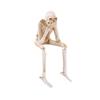 Resin Skull Halloween Decoration Skeleton Craft Decorations Holiday Gifts Party
