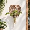 Home Ornaments Hydroponic Plant Holder Wooden Flower Pot Wall Mounted Planter  Indoor Plants