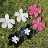 Acrylic Big Flower Earrings Floral Stud Earrings Statement Beach Jewelry