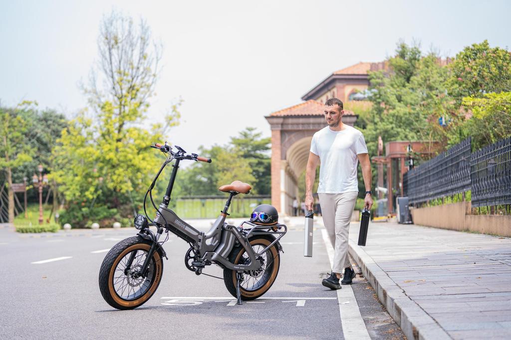 MIHOGO ONE Ηλεκτρικό Ποδήλατο 48V 13Ah+16Ah Μπαταρία, Μοτέρ 750W, Υδραυλικά Δισκόφρενα, Ελαστικά 20*4.0 Ιντσών, Αυτονομία 270KM, Αδιάβροχο Ηλεκτρικό Ποδήλατο IP65