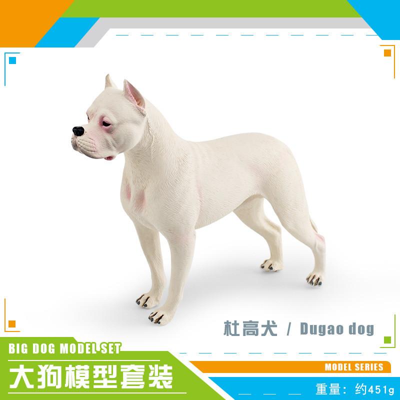 Realistic Plastic Animal Model Collection Featuring Brindle Bull Terrier And Dogo Argentino For Educational Purposes