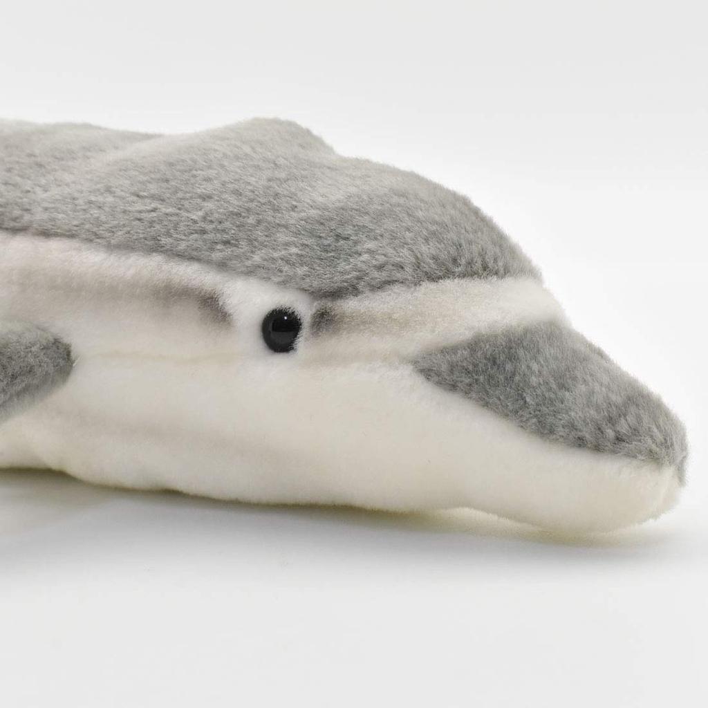 BH5042 HANSA Dolphin 40