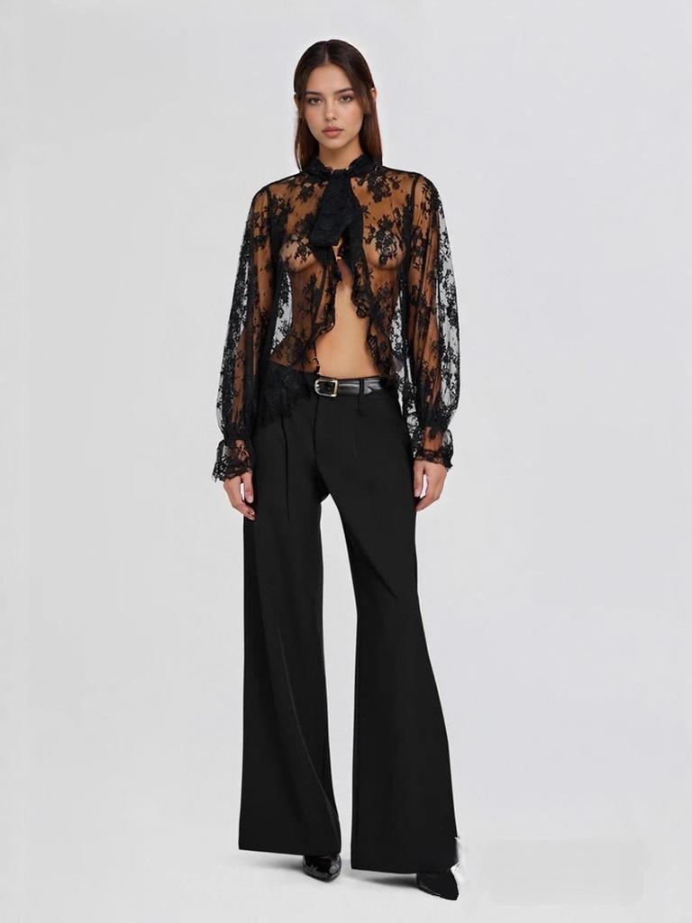 Frühlingshafter Euro-Amerikanischer Stylischer Durchsichtiger Spitzen-Langarmtop